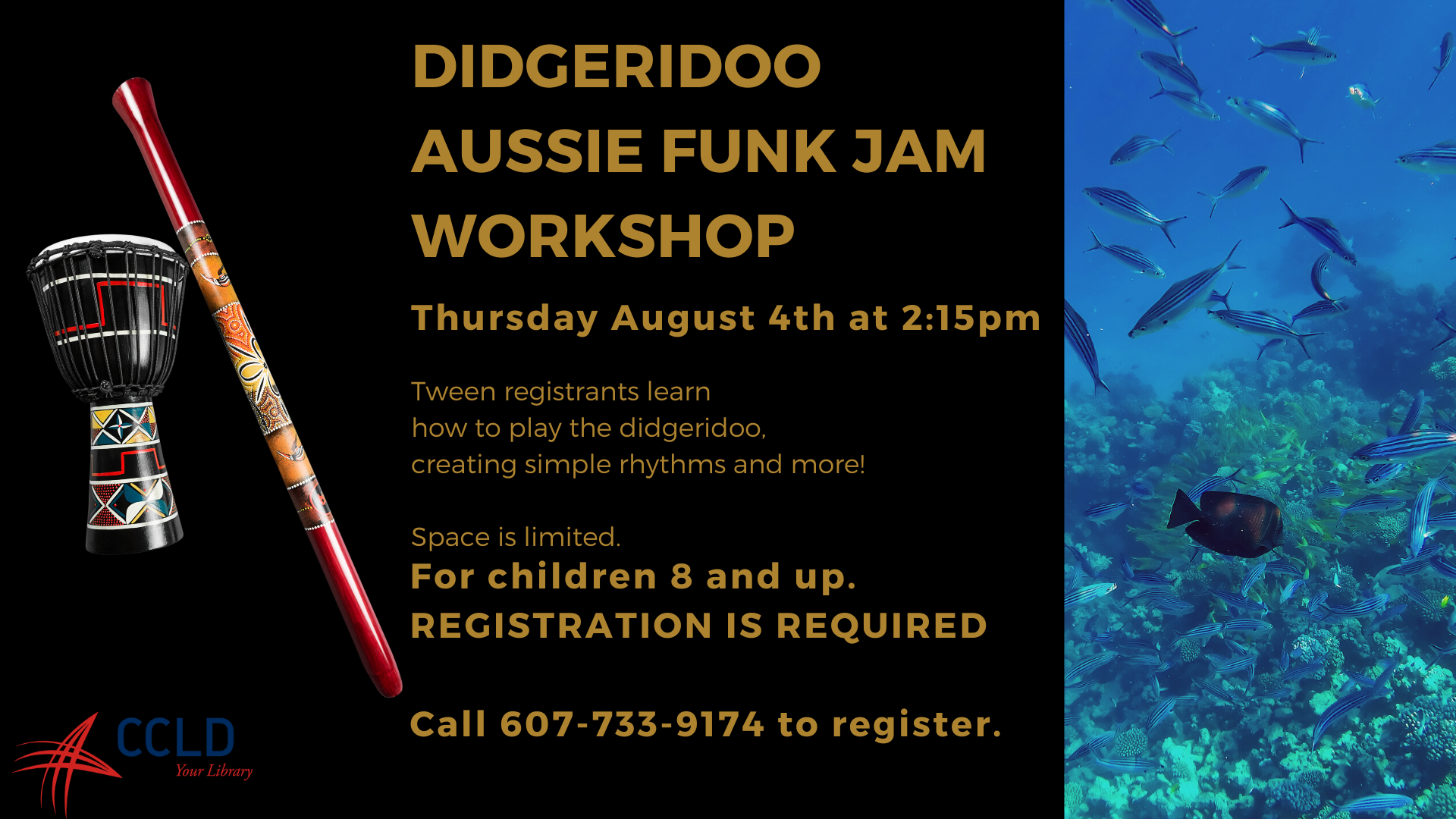 DIDGERIDOO AUSSIE FUNK JAM WORKSHOP
Thursday August 4th at 2:15pm

Tween registrants learn 
how to play the didgeridoo, 
creating simple rhythms and more!

Space is limited.

For children 8 and up.
REGISTRATION IS REQUIRED

Call 607-733-9174 to register.